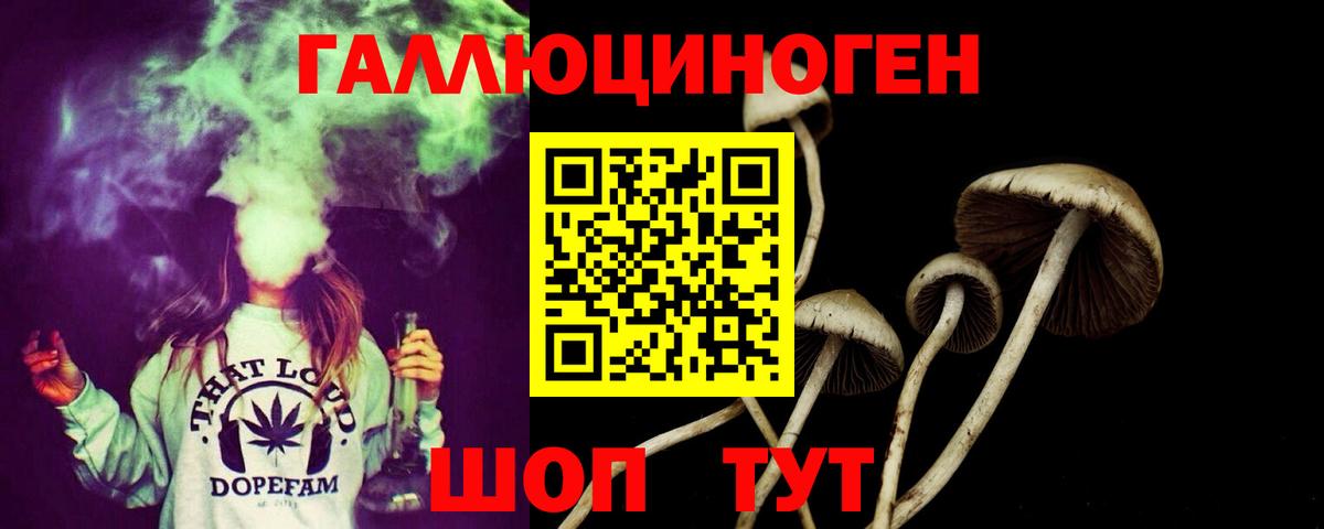 Галлюциногенные грибы MAGIC MUSHROOMS Новокубанск